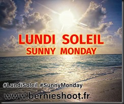 ob_0fef43_lundi-soleil-sunny-monday-logo-officie